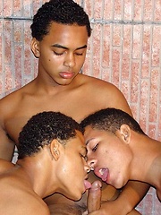 Three hot young Latin cholos go gay
