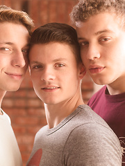 Tasty Trio